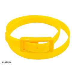 Pasek - SM12807-3